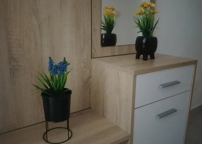 Sea View Apartment